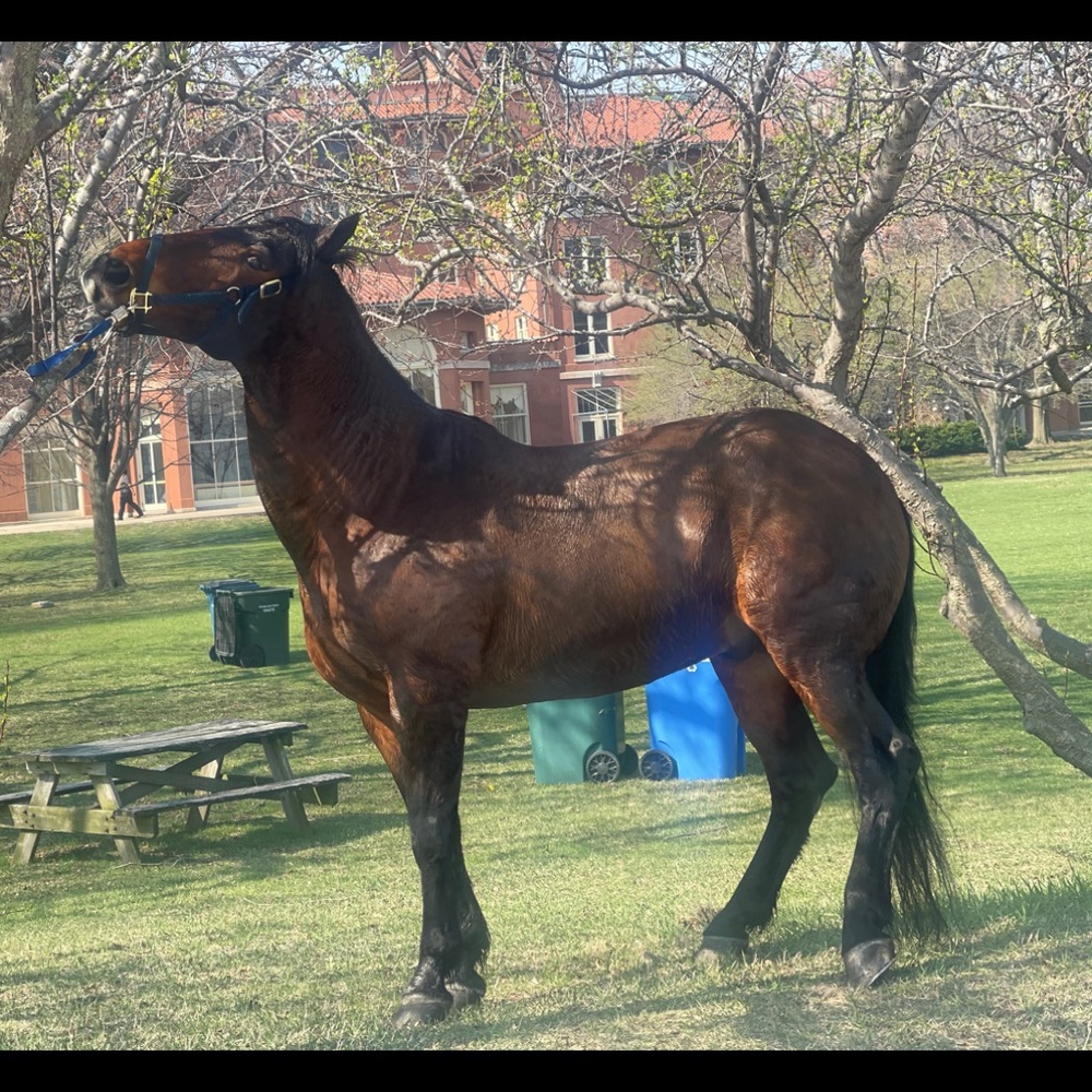 Meet your Posher, Juan